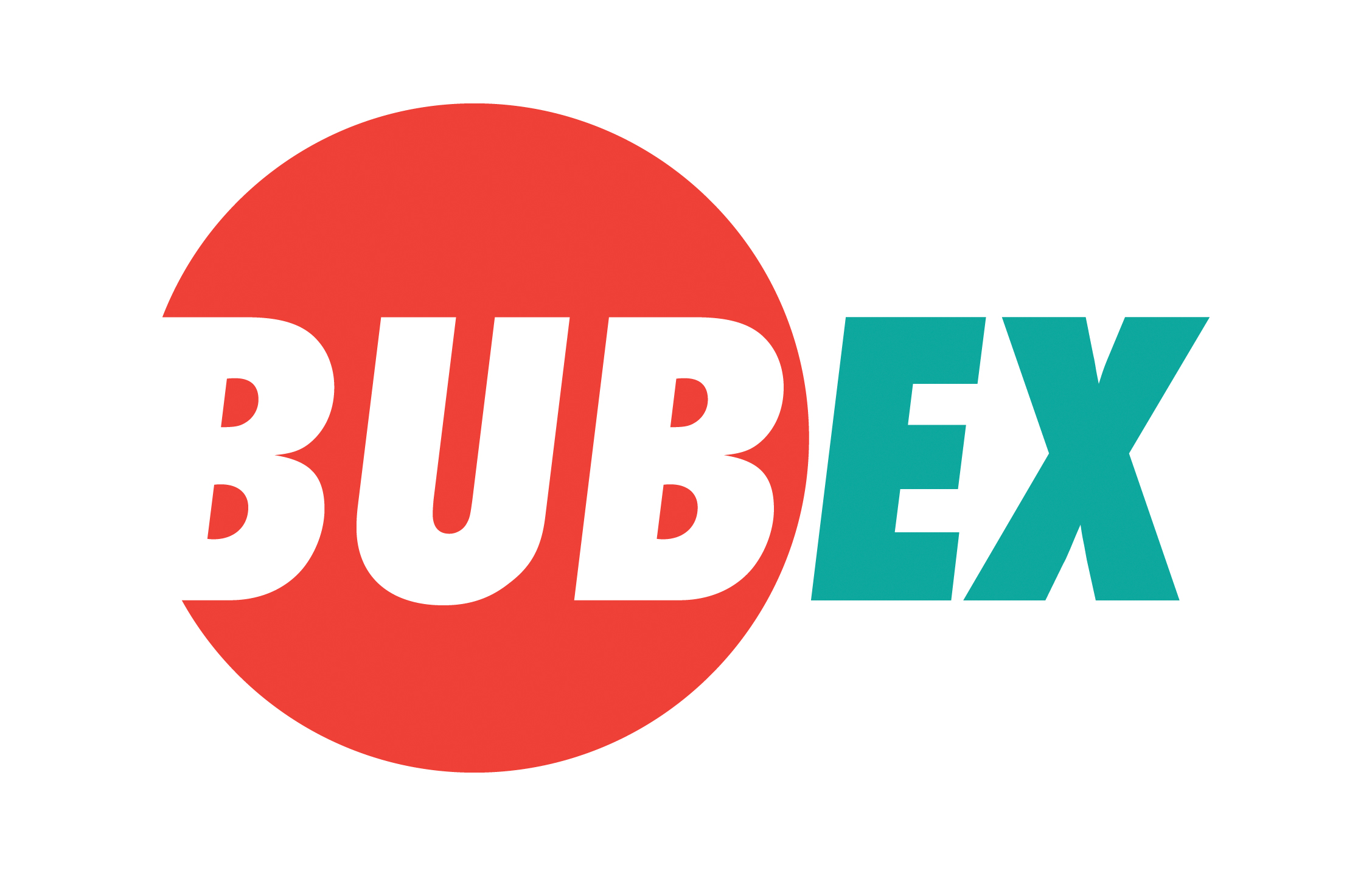 logo bubex